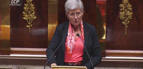 Geneviève Darrieussecq LCP 28/10/2024