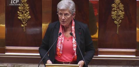 Geneviève Darrieussecq