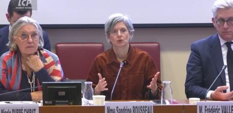 Rousseau et Dubré-Chirat rapport urgences psychiatriques