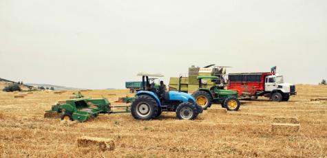 Agriculture blé PxHere 10/02/2025