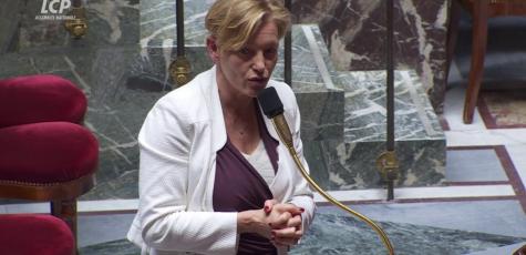 Véronique Riotton (Ensemble pour la République) dans l'hémicycle, le 1er avril 2025