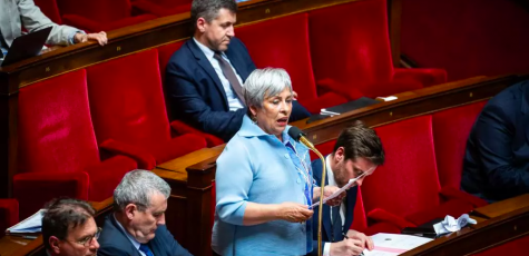 Marie-Christine Dalloz à l'Assemblée nationale