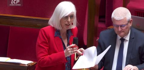 Brigitte Liso dans l'hémicycle, le 20 mai 2025