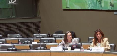 Anne Stambach-Terrenoir (La France insoumise) et Nathalie Colin-Oesterlé (Horizons)