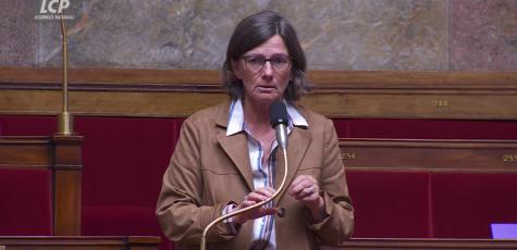 La députée Agnès-Firmin-Le Bodo (Horizons)