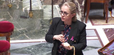 La rapporteure générale du texte, la socialiste Céline Thiébault-Martinez