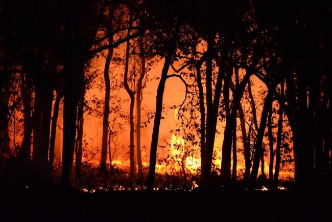Gironde: l'incendie 'stabilisé' mais 'pas fixé' selon Laurent Nuñez, Emmanuel Macron attendu sur place | LCP