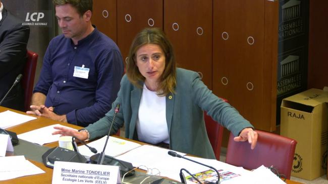 Loi d'urgence agricole: insultée par un responsable syndical, l'écologiste Marine Tondelier exige des 'excuses' | LCP
