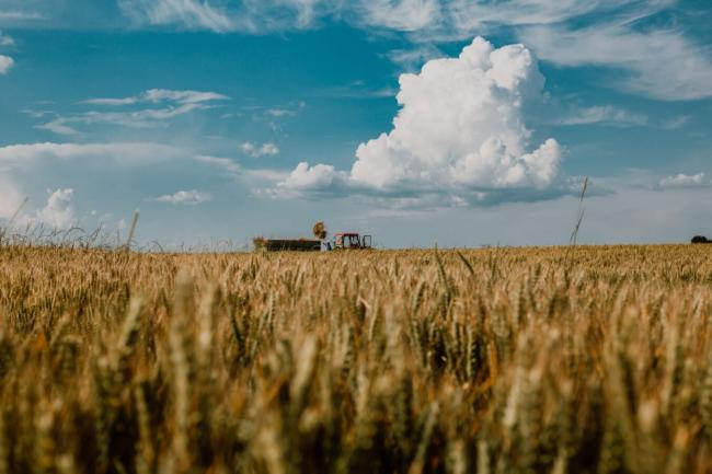 Loi d'urgence agricole: la Confédération paysanne et huit associations demandent au Conseil constitutionnel de cenr le texte | LCP