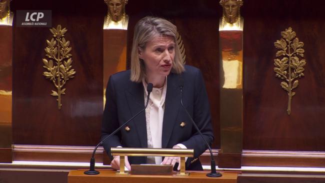 Mission gouvernementale: la députée Astrid Panosyan-Bouvet quitte à son tour l'Assemblée nationale | LCP