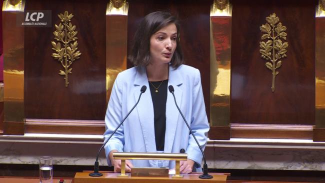 Canicule: la députée écologiste Marie-Charlotte Garin veut suspendre les expulsions de logement l'été | LCP