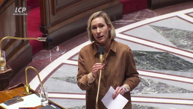 Interdiction des réseaux sociaux aux moins de 15 ans : voté à lAssemblée , le texte franchit une première étape | LCP