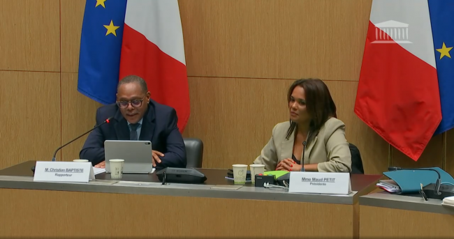 Inceste: la commission d'enquête propose 49 mes pour lutter contre un 'crime de masse' | LCP