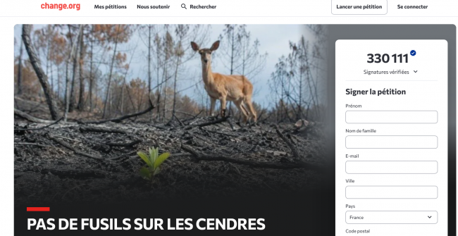 'Pas de fusils sur les cendres': une pétition atteint 330 000 signatures pour suspendre la chasse dans les forêts incendiées | LCP