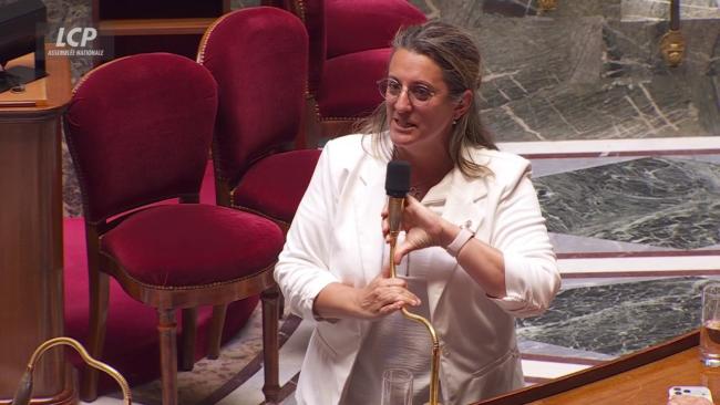 Protection de l'enfance: les députés rétablissent la peine de perpétuité pour les viols en série et adoptent le projet de loi | LCP