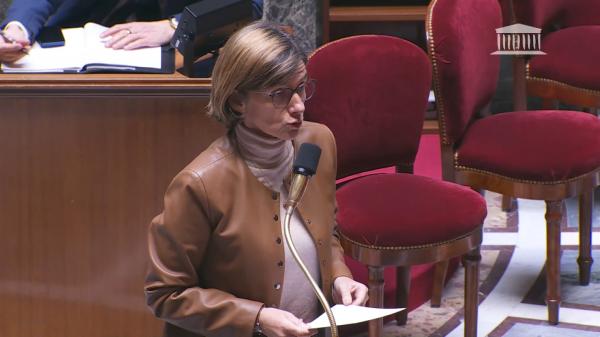 Agnès Firmin Le Bodo, le 12 décembre 2023, à l'Assemblée nationale.